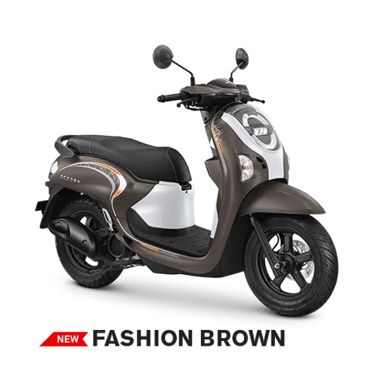 new scoopy fashion brown