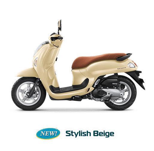 new scoopy stylish beige