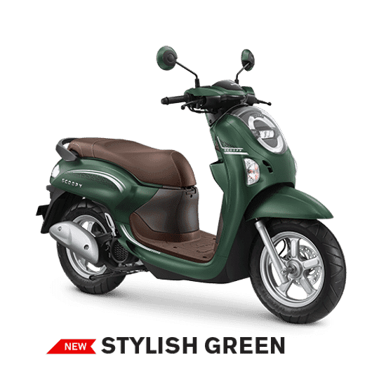 new scoopy stylish green