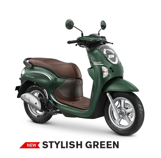 new scoopy stylish green